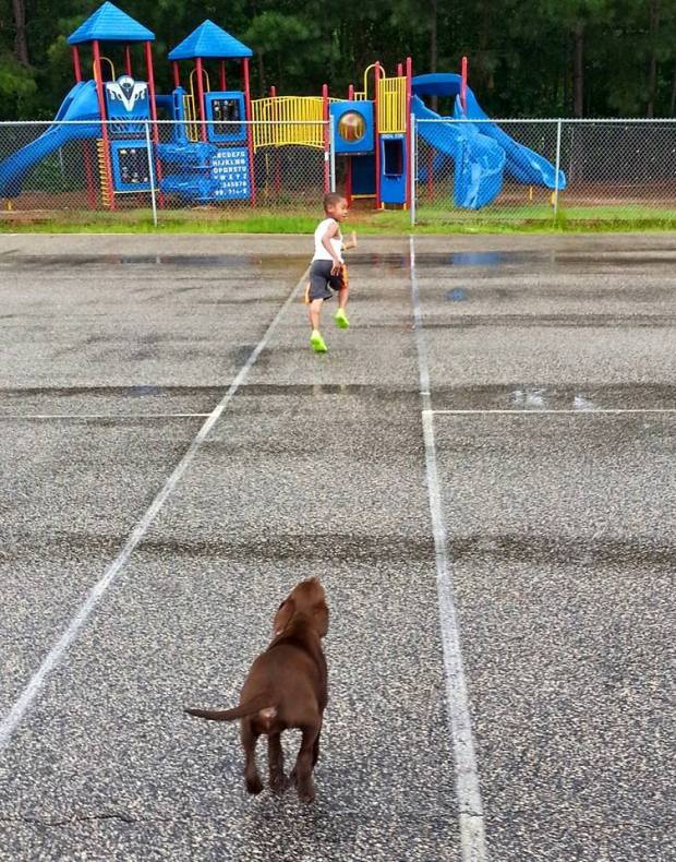 12991063_1564750257157169_7090172365399958281_n