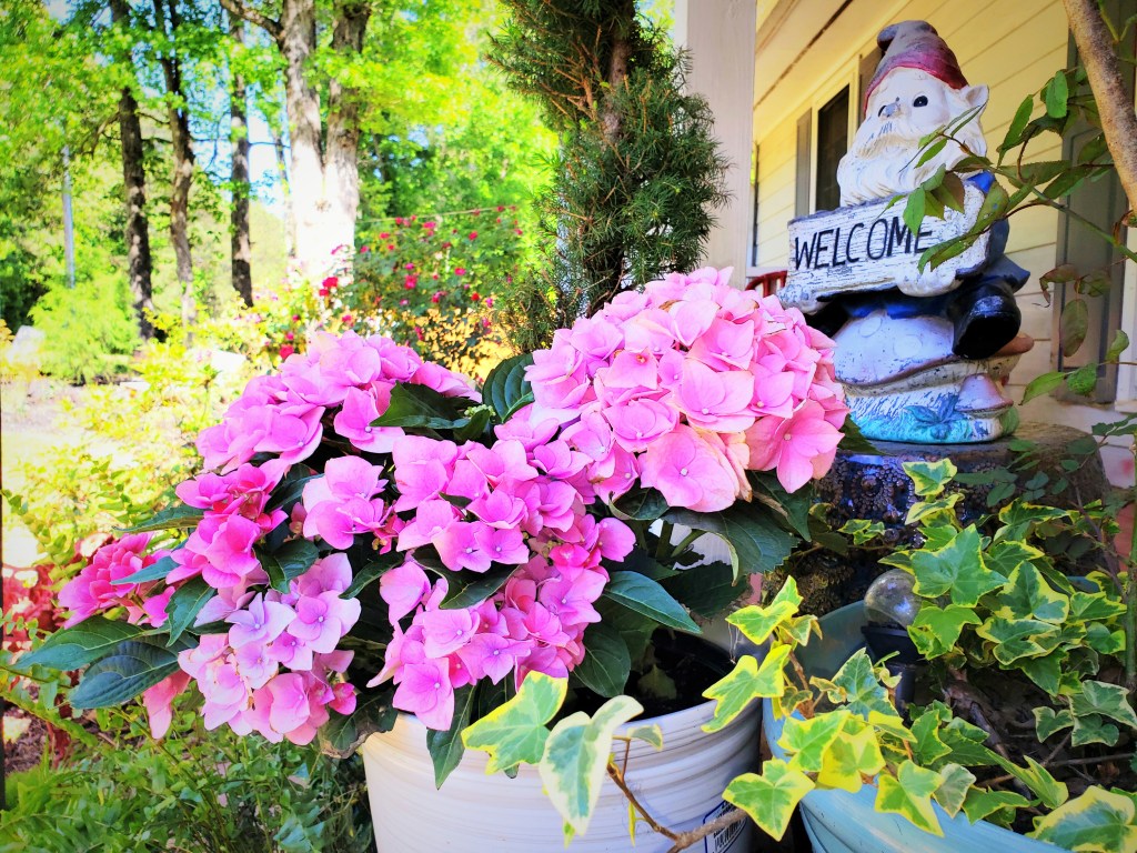 A Garden to Remember Before &&nbsp;After